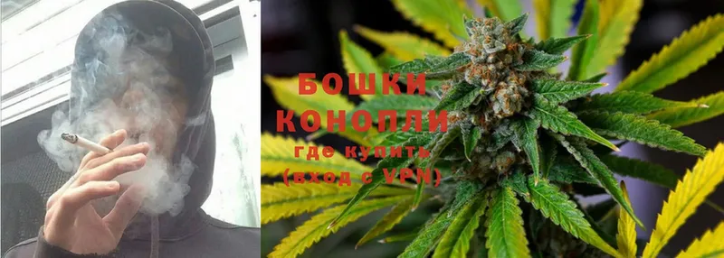 Шишки марихуана Bruce Banner  OMG tor  Йошкар-Ола 